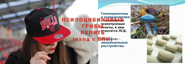 дживик Покров