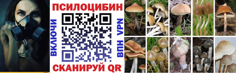 Псилоцибиновые грибы Psilocybe  hydra ссылка  Нижняя Салда 